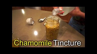 Chamomile Tincture - How we use and make it