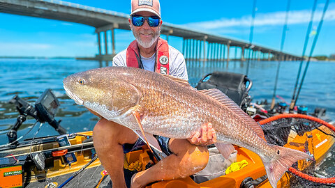 THIS is Why You Fish Bridges! | Saltwater Bridge Monsters