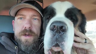 Day 12 Morning update with Walter. Big Announcement at the end.