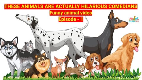 These animals are actually hilarious comedians | Funny animal video Episode 1-try not to laugh 2022