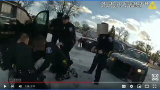 Southfield Police Loses Police Car To Car Thief - Then Uses Excessive Force