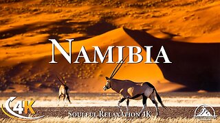 Namibia 4K - Beautiful Relaxation Wildlife Film With Inspiring Music