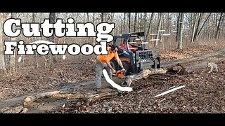 Cutting Firewood