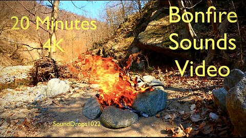 20-Minute Campfire Bliss | Bonfire Soundscapes for Relaxation