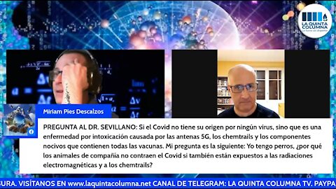 La Quinta Columna - Programa 148 - Imágenes escalofriantes de un inesperado estreno en la discoteca Fabrik