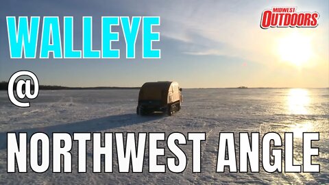 Walleye at the Northwest Angle