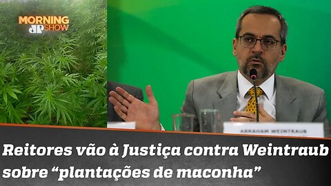 Tem plantação de maconha em universidades brasileiras? Reitores vão à Justiça contra Weintraub