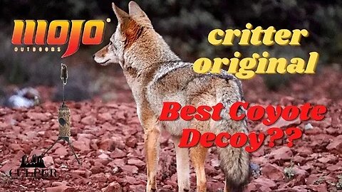 Watch the Mojo Critter Coyote Decoy Dance! Will it increase our coyote hunting success rate??