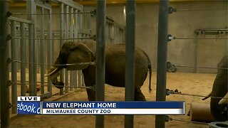 Milwaukee County Zoo opens new elephant exhibit