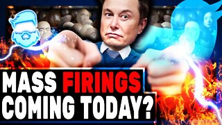 Elon Musk Just Started Firing People At Twitter & Reports Say 25% Of Total Staff By Tomorrow!