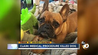 Claim: Medical procedure killed dog