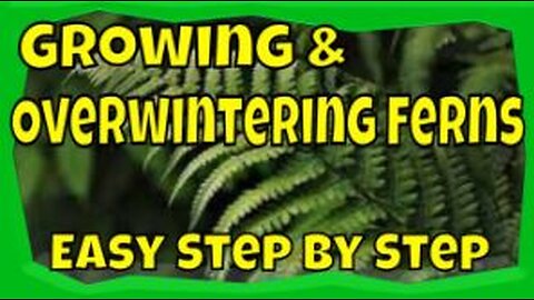 How to Grow Ferns #gardening #plants #homestead