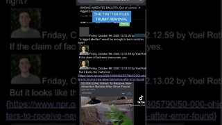 THE TWITTER FILES Trump Removal P.2
