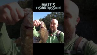 HUGE Smallmouth bass - road trip to Paint Creek Ohio