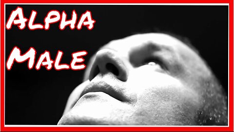 Become the ALPHA MALE!