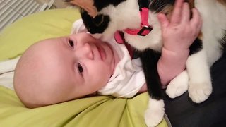 So Sweet – Kitten Loves Baby!