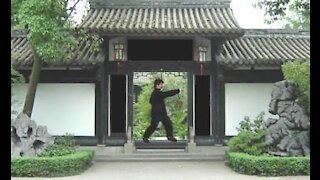 Is Online TAICHI for me?