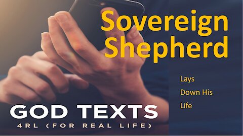 Sovereign Shepherd