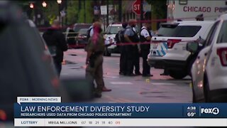 Law Enforcement Diversity Study