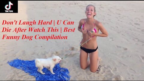 Don't Laugh Hard | U Can Die After Watch This | Best Funny Dog Compilation 2021 - TikTok #13 抖音