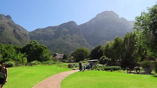 SOUTH AFRICA - Cape Town - Kirstenbosch National Botanical Garden (Video) (3YZ)