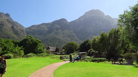 SOUTH AFRICA - Cape Town - Kirstenbosch National Botanical Garden (Video) (3YZ)