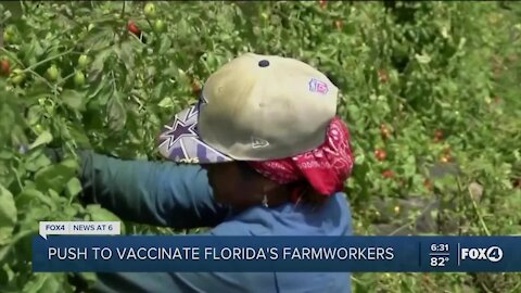 Push to vaccinate Florida's farmworkers