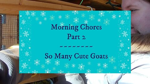 Morning Chores Part 2 ~ So Many Cute Goats