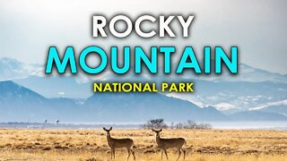 DISCOVER ROCKY MOUNTAIN NATIONAL PARK -HD | TRAVEL GUIDE | VACATION | WILDLIFE