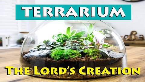 TERRARIUM - The Lord's Creation