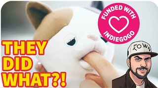 How WOKE Is IndieGoGo?