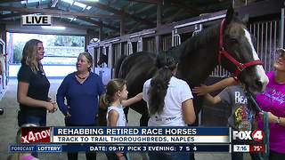 Track to Trail Thoroughbreds rescues race horses