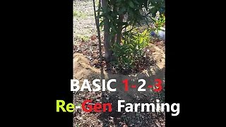 Regenerative Farming Basics 1-2-3 | Macadamia and Citrus Trees | How To! D.I.Y in 4D