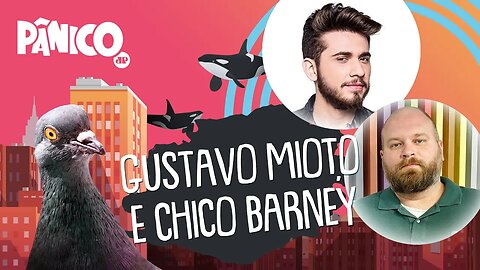 GUSTAVO MIOTO E CHICO BARNEY - PÂNICO - AO VIVO - 15/06/20