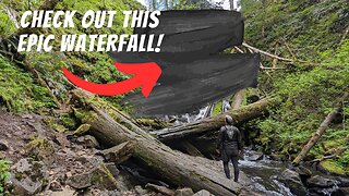 Picturesque waterfall in an enchanted Pacific Northwest forest | University Falls | Oregon