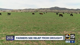Arizona farmers see relief from drought