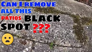 Homeowner ASTONISHED At The BLACK SPOT Removal From UNSIGHTLY Patio! | Pressure Washed & Soft Washed