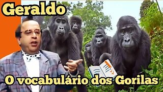 Escolinha do Professor Raimundo; Geraldo, Trabalho sobre o vocabulário dos gorilas.