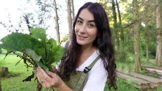 [Food Security] Five Edible Plants Growing Right Outside!