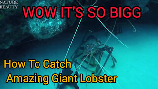 Amazing Catch Giant Lobster Underwater | Big Octopus Hunting Skill In the sea | Catching Fish