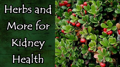 Herbs and More for Kidney Health