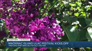 72nd Annual Mackinac Island Lilac Festival goes virtual