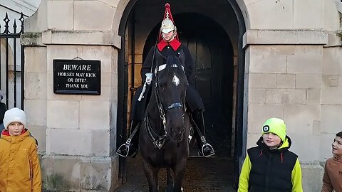 Hugging the Horses head guard yanks the Reins #thekingsguard