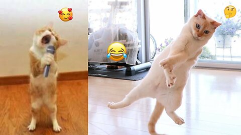 Funny Dogs And Cat Videos 2024 || Try Not To Laugh || Part 1