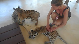 Getting up-close with playful tiger cubs at Thailand zoo