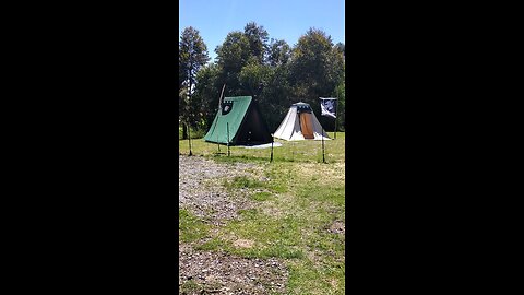 more viking tents