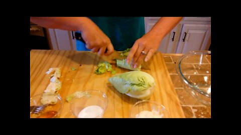 Homemade Coleslaw Recipe - The Hillbilly Kitchen