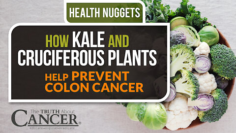 The Truth About Cancer: Health Nugget 28 - How Kale & Cruciferous Plants Help Prevent Colon Cancer