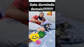 O que você deu pra ele?? #korteskomk #luvadepedreiro #humor #share #reels #compartilhar #gatos