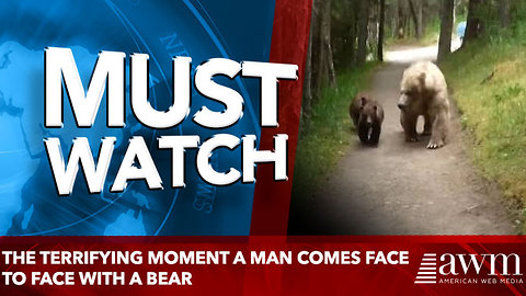 The terrifying moment a man comes face to face with a bear